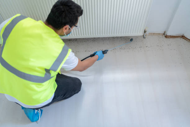 Best Fumigation Services  in Butner, NC